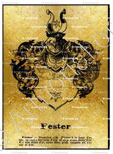 FESTER