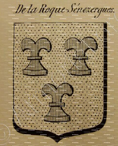 DE LA ROQUE SENEZERGUES
