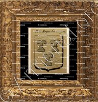 cadre-ancien-or-DE LA ROQUE SENEZERGUES_Auvergne_France