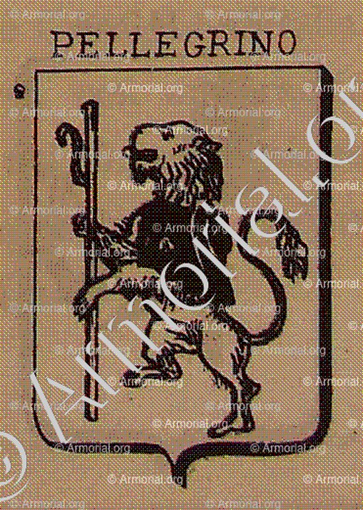 PELLEGRINO (Sicilia) (04)