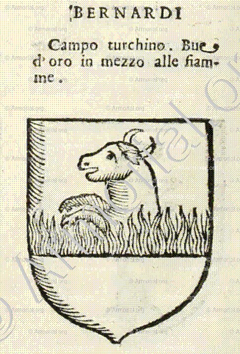 BERNARDI_Forli, Romagna._Italia