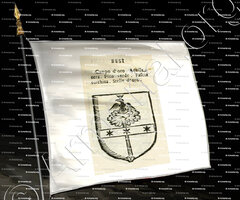 drapeau-BESI_Forli, Romagna._Italia