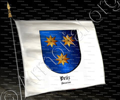 drapeau-PELIZ_Asturias_España (i)