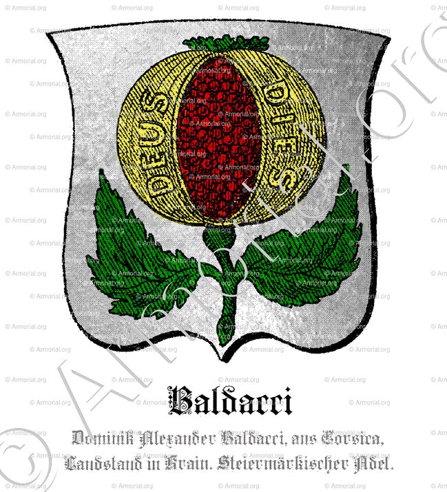 BALDACCI_Dominik Alexander Baldacci, aus Corsica, Landstand in Krain._Steiermärkischer Adel (1)