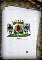 velin-d-Arches-BALDACCI_Paul Badacci aus Corsica, Krain 1757._Steiermärkischer Adel (2)