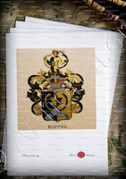 velin-d-Arches-RIPPEL_Wappenbuch der Stadt Basel . B.Meyer Knaus 1880_Schweiz 