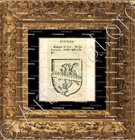 cadre-ancien-or-BIONDI_Forli, Romagna._Italia