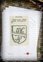 velin-d-Arches-BIONDI_Forli, Romagna._Italia