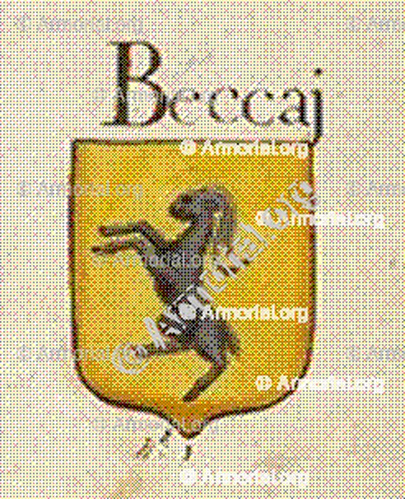 BECCAJ o BECCAI_Firenze_Italia