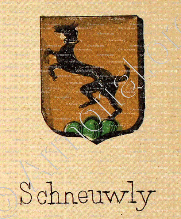 SCHNEUWLY_Livre d'Or du Canton de Fribourg (Freiburg). (Alfred Raemy, 1898)_Schweiz Suisse Svizzera Switz