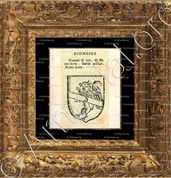 cadre-ancien-or-BIONDINI_Forli, Romagna._Italia