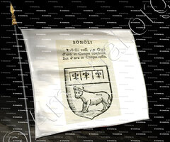 drapeau-BONOLI_Forli, Romagna._Italia