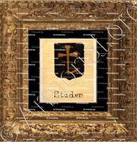 cadre-ancien-or-STUDER_Livre d'Or du Canton de Fribourg (Freiburg). (Alfred Raemy, 1898)_Schweiz Suisse Svizzera Switz