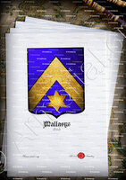 velin-d-Arches-MALLASYS_Gand_Belgique
