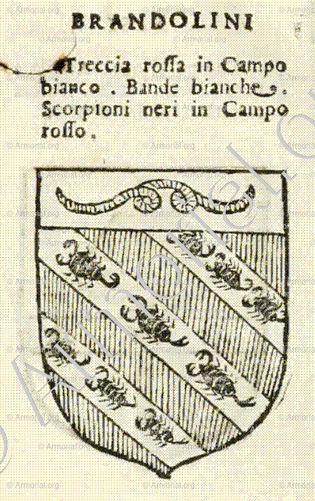 BRANDOLINI_Forli, Romagna._Italia