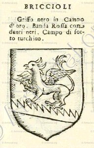 BRICCIOLI