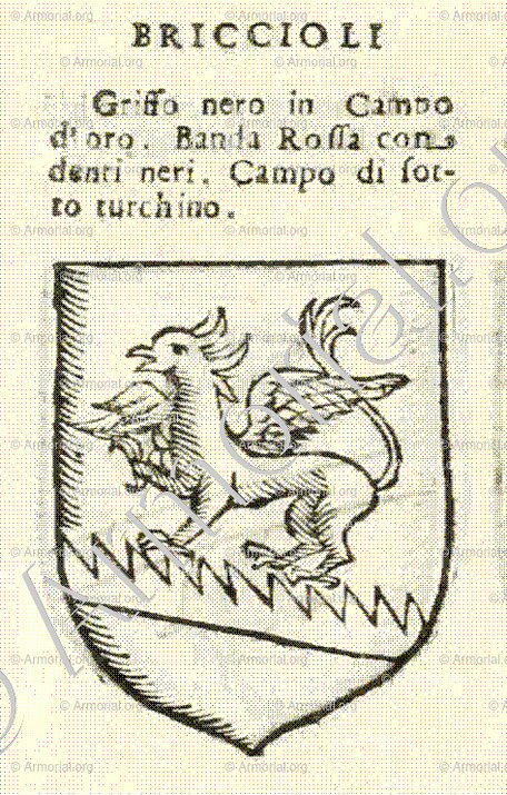 BRICCIOLI_Forli, Romagna._Italia