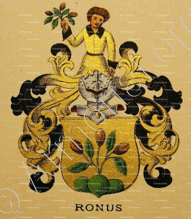 RONUS_Wappenbuch der Stadt Basel . B.Meyer Knaus 1880_Schweiz 