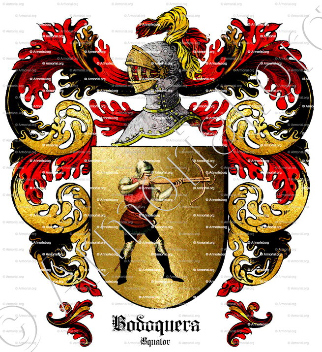 BODOQUERA_Equator_Equator (ii)