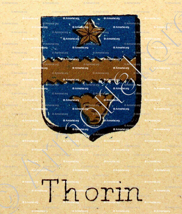 THORIN_Livre d'Or du Canton de Fribourg (Freiburg). (Alfred Raemy, 1898)_Schweiz Suisse Svizzera Switz