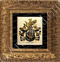 cadre-ancien-or-ROSCHET_Wappenbuch der Stadt Basel . B.Meyer Knaus 1880_Schweiz 