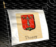 drapeau-THOSSY_Livre d'Or du Canton de Fribourg (Freiburg). (Alfred Raemy, 1898)_Schweiz Suisse Svizzera Switz