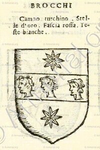 BROCCHI