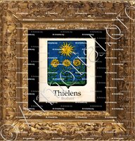 cadre-ancien-or-THIELENS_Brabant._Belgique