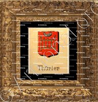 cadre-ancien-or-THÜRLER_Livre d'Or du Canton de Fribourg (Freiburg). (Alfred Raemy, 1898)_Schweiz Suisse Svizzera Switz