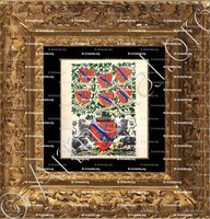 cadre-ancien-or-PARTOUT MENTHON_Devise des Menthon. Armorial et Nobiliaire de Savoie. (Cte de Foras)_France