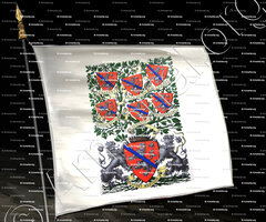 drapeau-PARTOUT MENTHON_Devise des Menthon. Armorial et Nobiliaire de Savoie. (Cte de Foras)_France