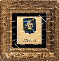 cadre-ancien-or-UFLEGER_Livre d'Or du Canton de Fribourg (Freiburg). (Alfred Raemy, 1898)_Schweiz Suisse Svizzera Switz