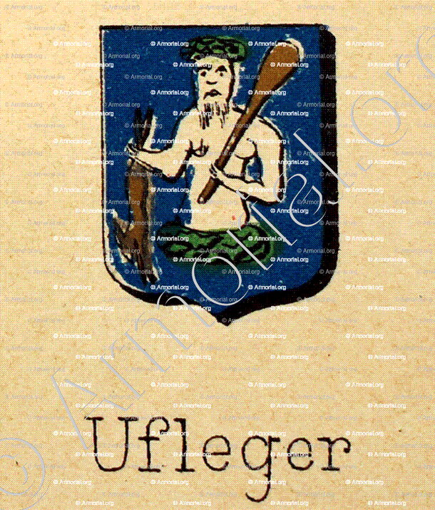 UFLEGER_Livre d'Or du Canton de Fribourg (Freiburg). (Alfred Raemy, 1898)_Schweiz Suisse Svizzera Switz