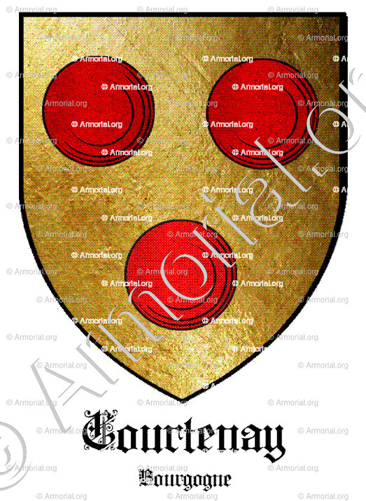 COURTENAY_Bourgogne_France (1)