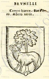 BRUNELLI