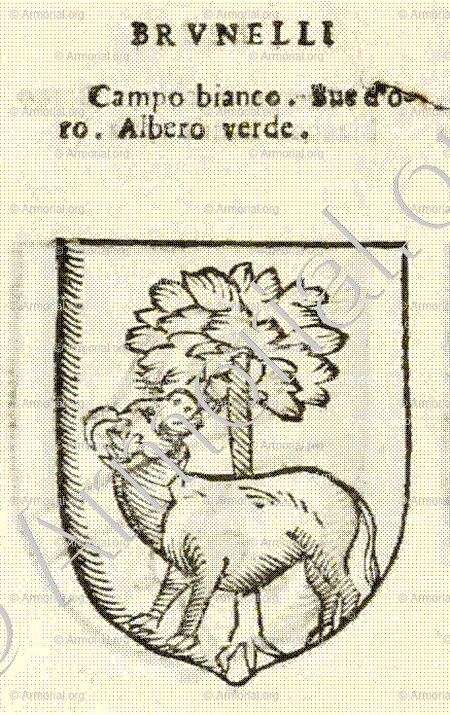 BRUNELLI_Forli, Romagna._Italia