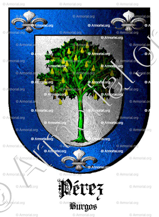 PEREZ_Burgos_España (i)