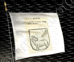 drapeau-BUOSI_Forli, Romagna._Italia