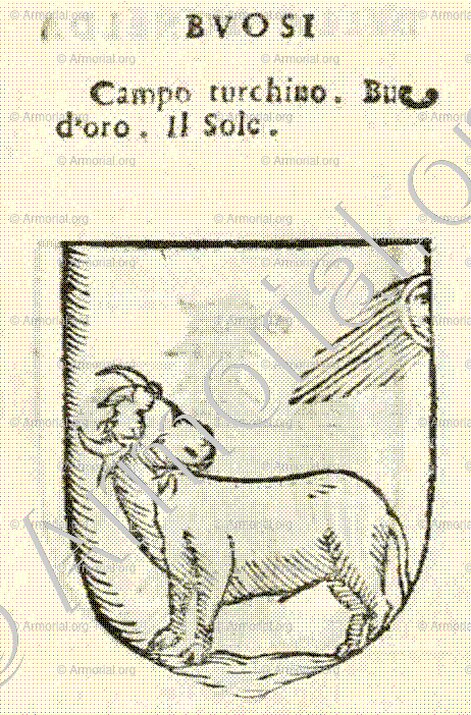 BUOSI_Forli, Romagna._Italia