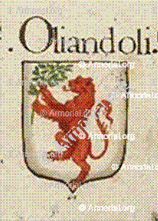OLIANDOLI_Firenze_Italia