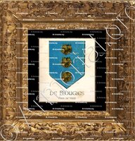 cadre-ancien-or-de BIOUGIES_Pays de Vaud._Suisse