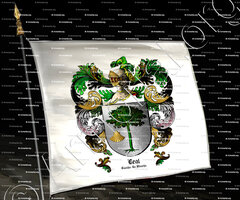 drapeau-LEAL_Castilla-La Mancha_España (ii)