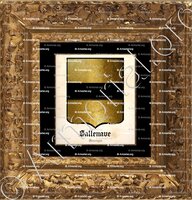 cadre-ancien-or-SALLENAVE_Gascogne_France (1)