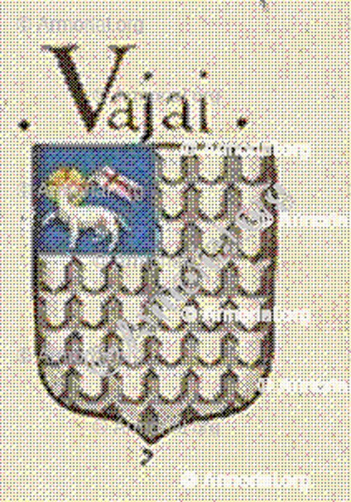 VAJAI_Firenze_Italia