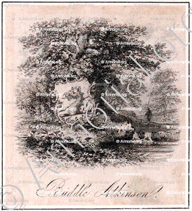 BUDDLE ATKINSON