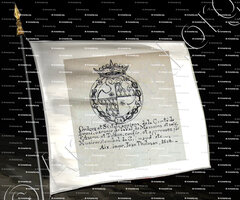 drapeau-Ordres et Statut de la Comté de BEUIL_Armorial Nice. (J. Casal, 1903) (Bibl. mun. de Nice)_France (ii)