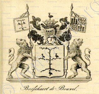 BOSSCHAERT DE BOUWEL