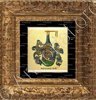 cadre-ancien-or-RÜTIMEYER_Wappenbuch der Stadt Basel . B.Meyer Knaus 1880_Schweiz 