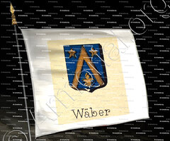 drapeau-WÄBER_Livre d'Or du Canton de Fribourg (Freiburg). (Alfred Raemy, 1898)_Schweiz Suisse Svizzera Switz
