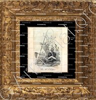 cadre-ancien-or-COTTON_Massachusetts_U.S.A (1)